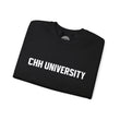Load image into Gallery viewer, CHH UNIVERSITY Heavy Blend™ Sweatshirt
