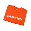 Load image into Gallery viewer, CHH UNIVERSITY Heavy Blend™ Sweatshirt
