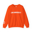 Load image into Gallery viewer, CHH UNIVERSITY Heavy Blend™ Sweatshirt
